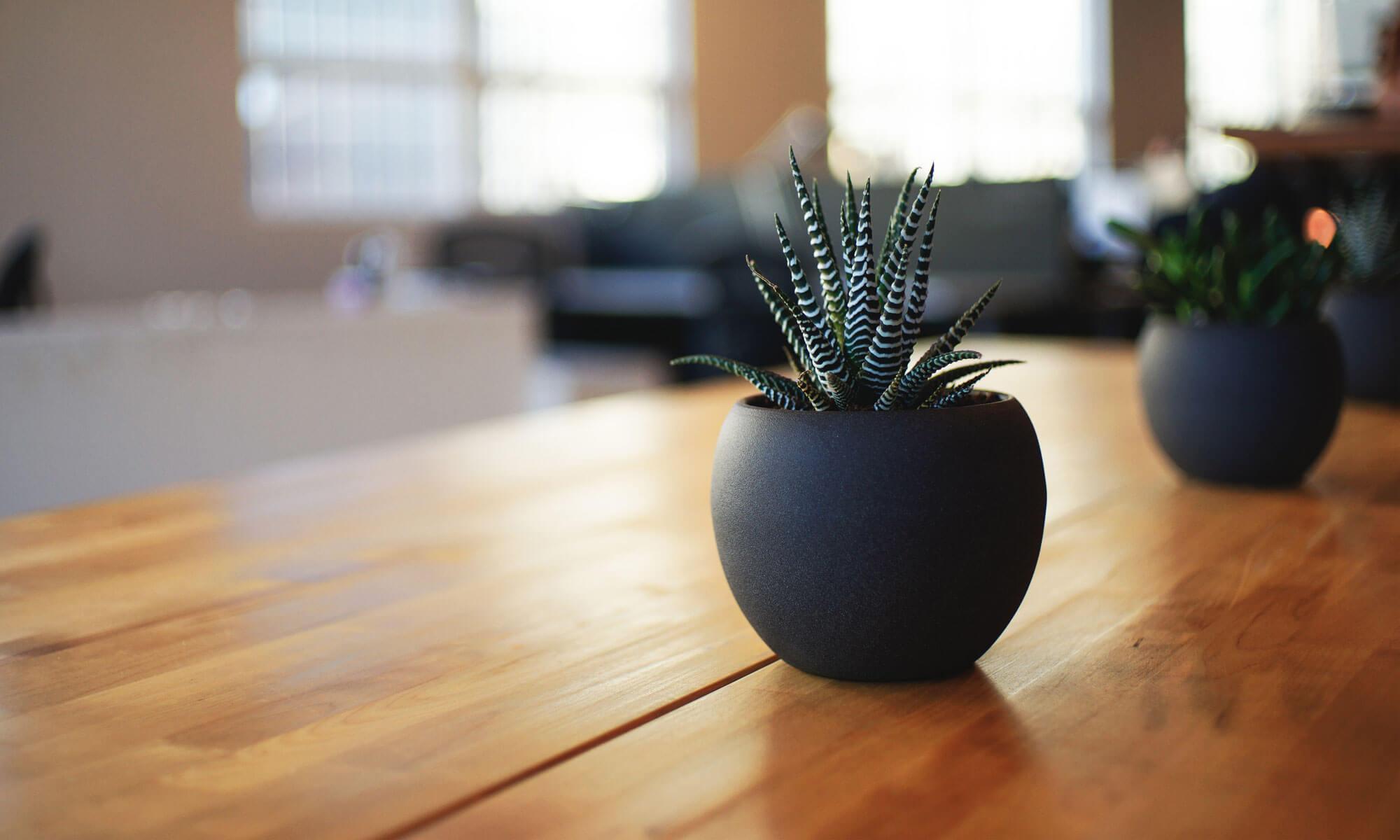 welcome to wordpress